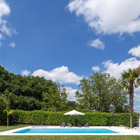 Casa 141- Familiar Conforto Paz E Bem-Estar Гимарайнш Экстерьер фото